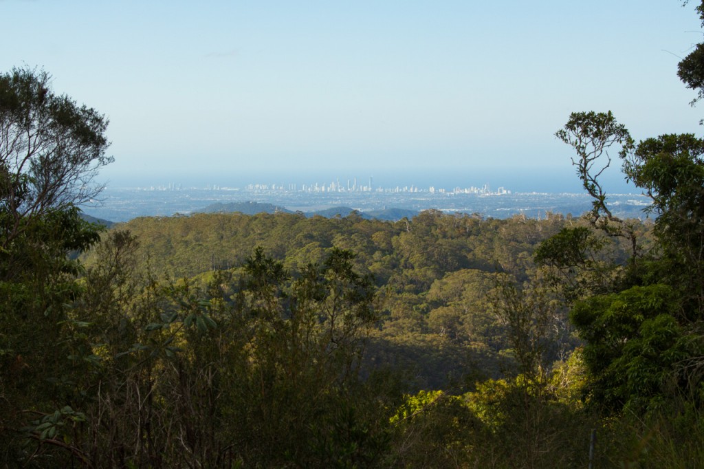 Lookout from Springbrook.  Boardwalk and lookout, Gold Coast