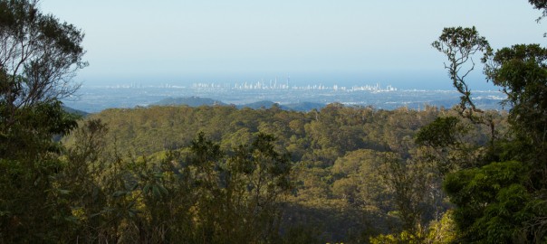 Lookout from Springbrook. Boardwalk and lookout, Gold Coast