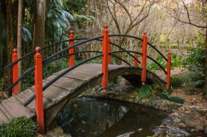 Japanese Garden Bridge with red poles
