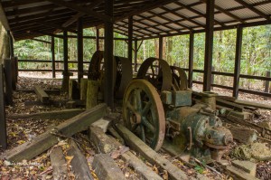 Saw Mill, Cougal Cascades, Currumbin Valley